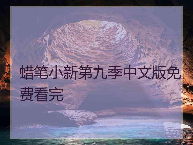 蜡笔小新第九季中文版免费看完