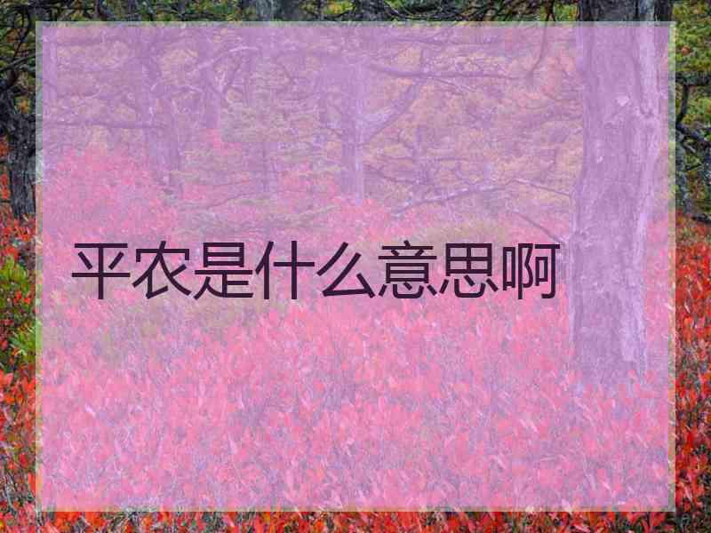 平农是什么意思啊