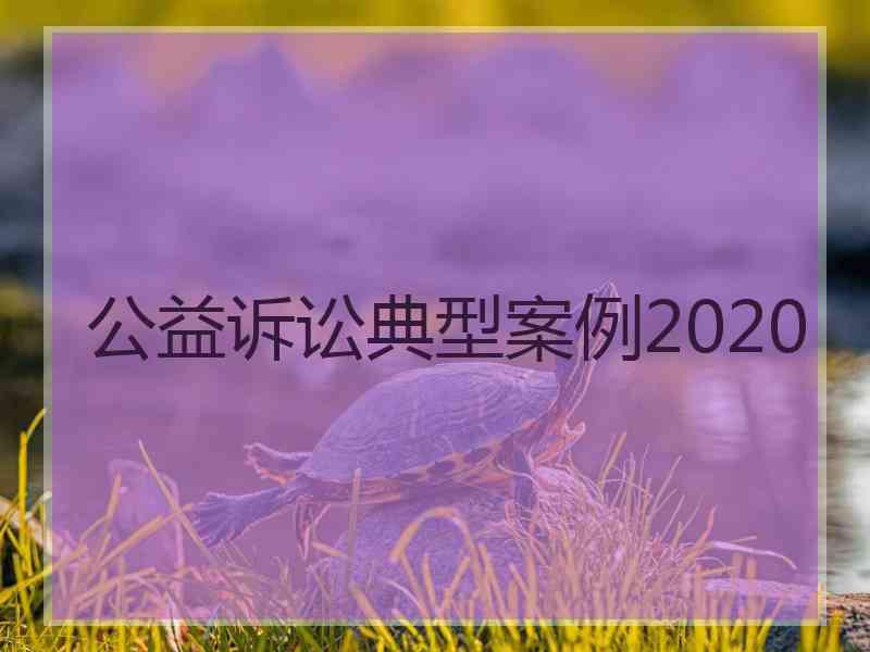 公益诉讼典型案例2020