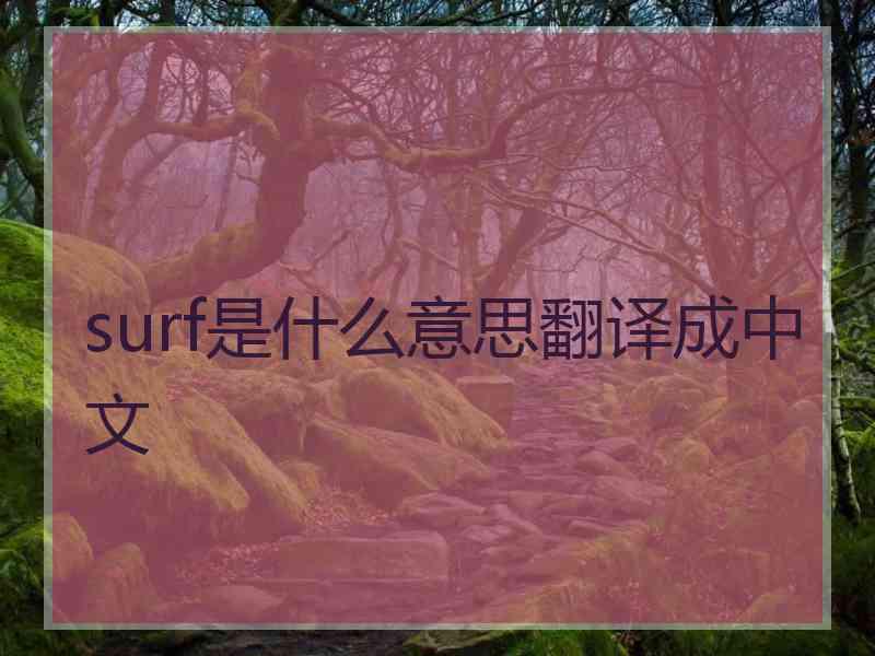 surf是什么意思翻译成中文