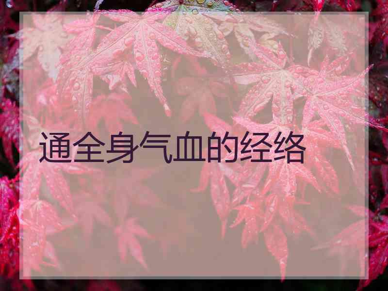 通全身气血的经络