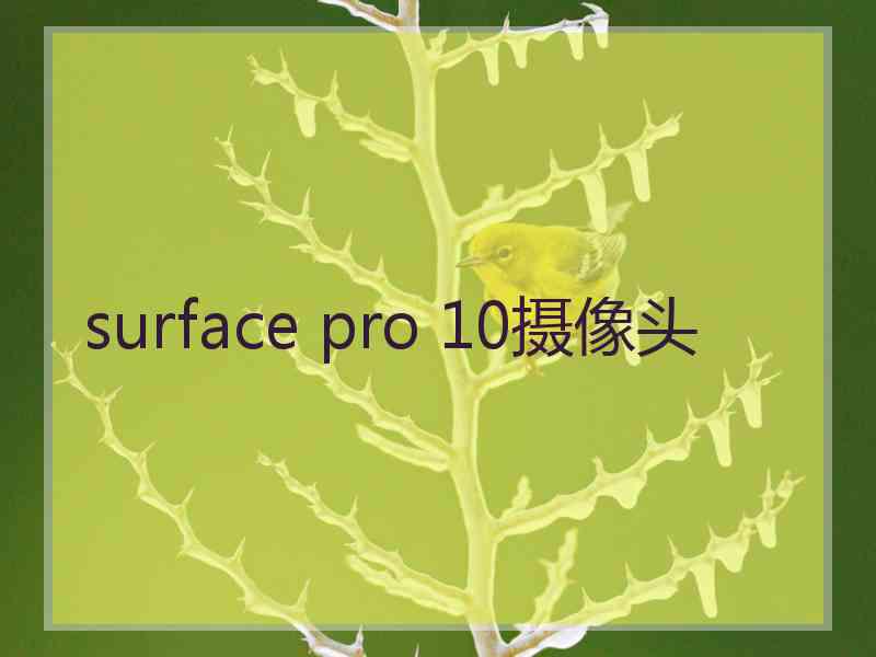 surface pro 10摄像头