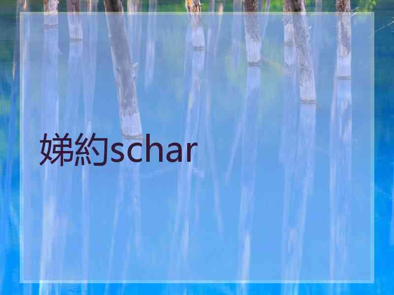 娣約schar