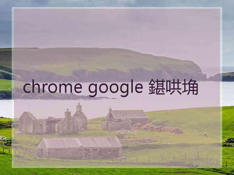 chrome google 鍖哄埆