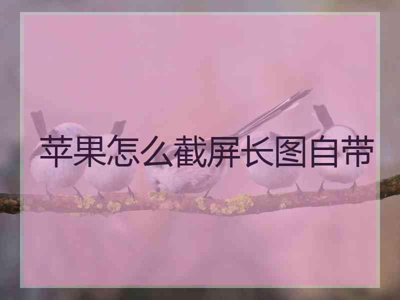 苹果怎么截屏长图自带