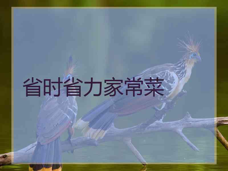 省时省力家常菜