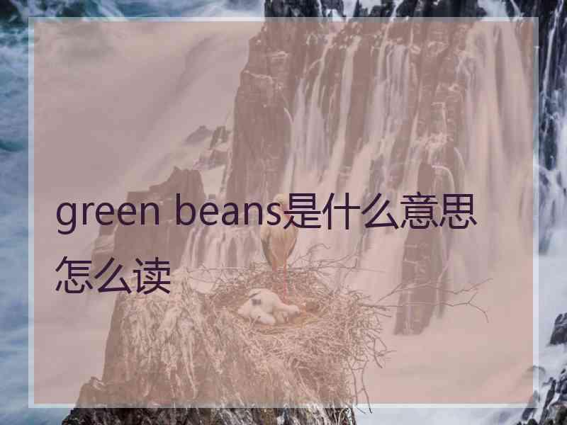 green beans是什么意思怎么读