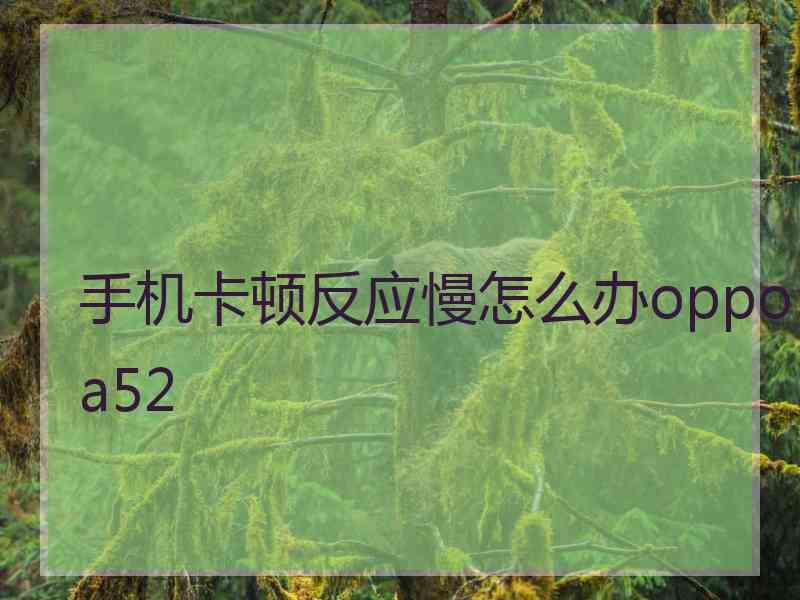 手机卡顿反应慢怎么办oppoa52