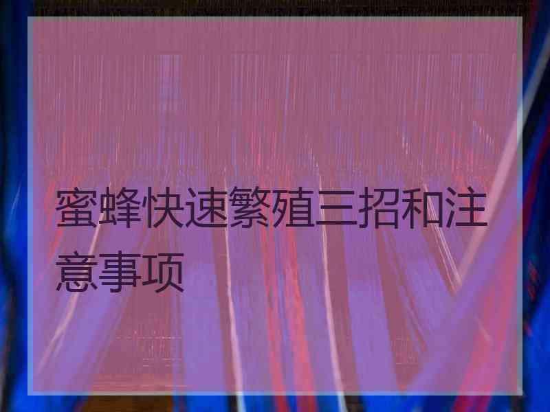 蜜蜂快速繁殖三招和注意事项