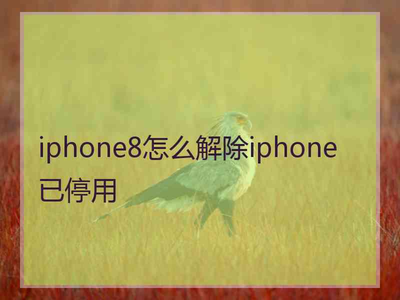 iphone8怎么解除iphone已停用