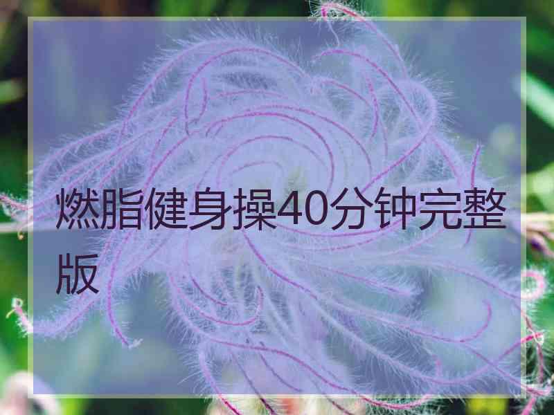 燃脂健身操40分钟完整版