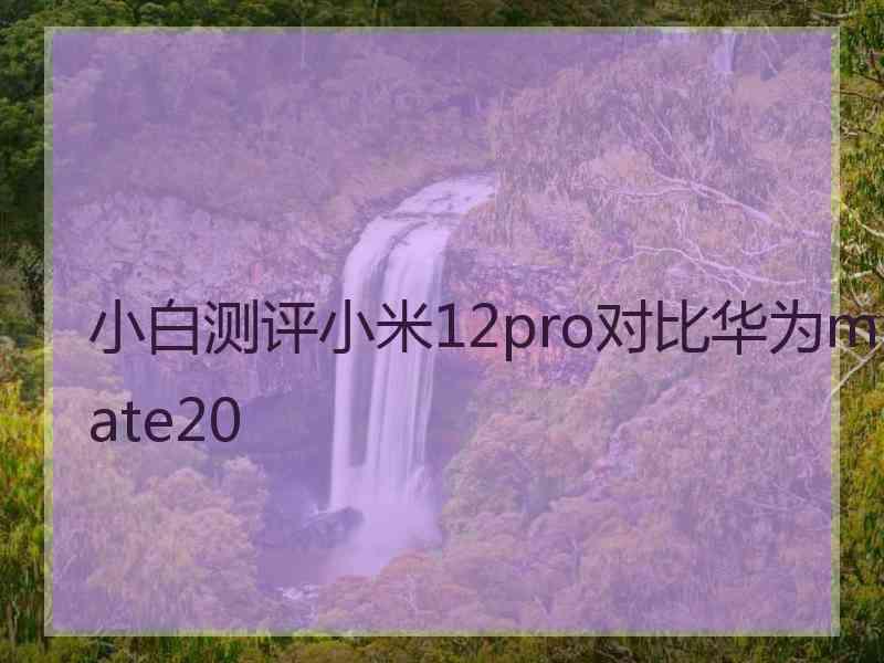 小白测评小米12pro对比华为mate20