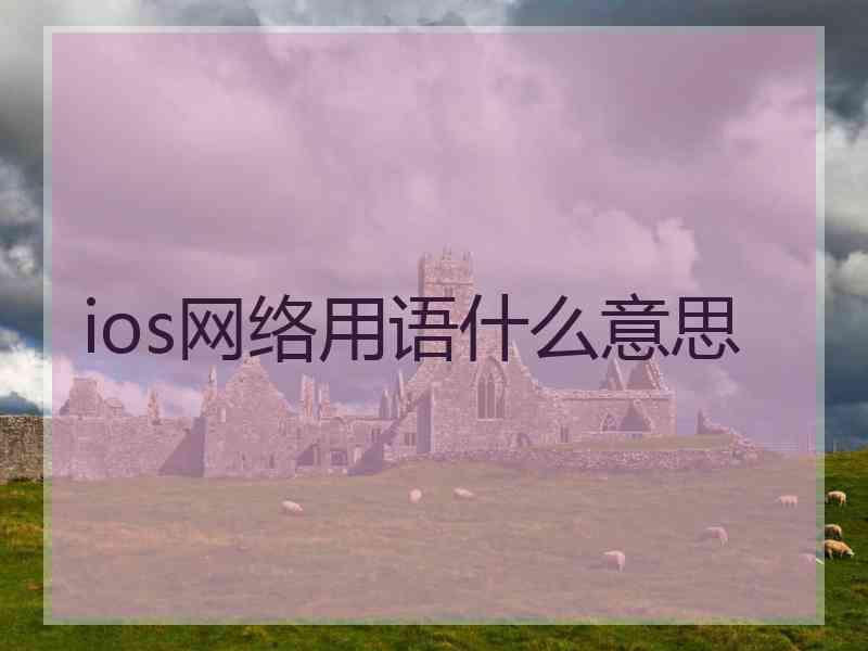 ios网络用语什么意思