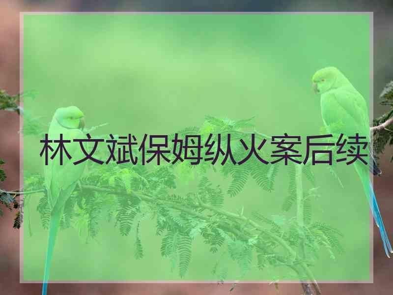 林文斌保姆纵火案后续