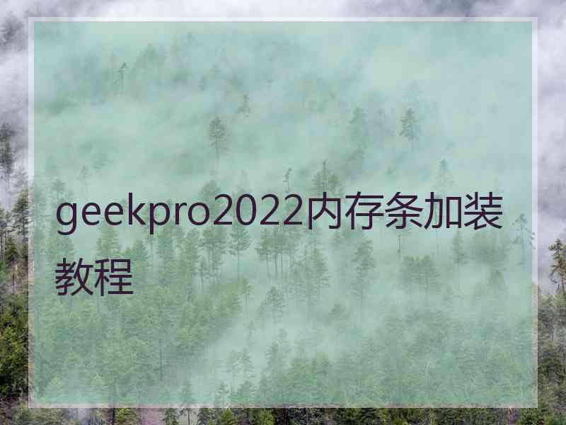 geekpro2022内存条加装教程