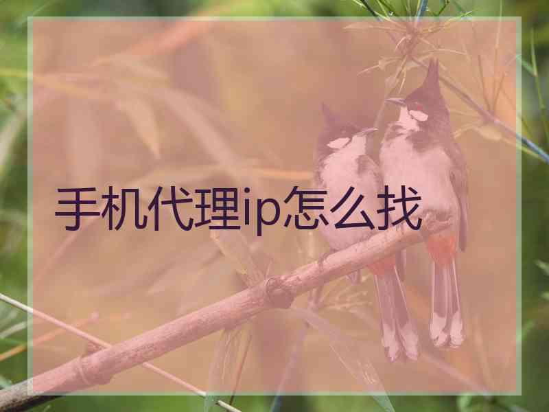 手机代理ip怎么找