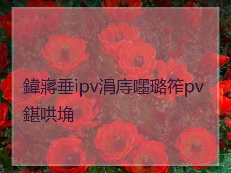 鍏嶈垂ipv涓庤嚜璐筰pv鍖哄埆