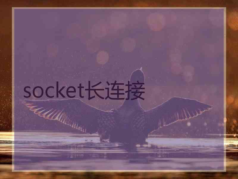 socket长连接