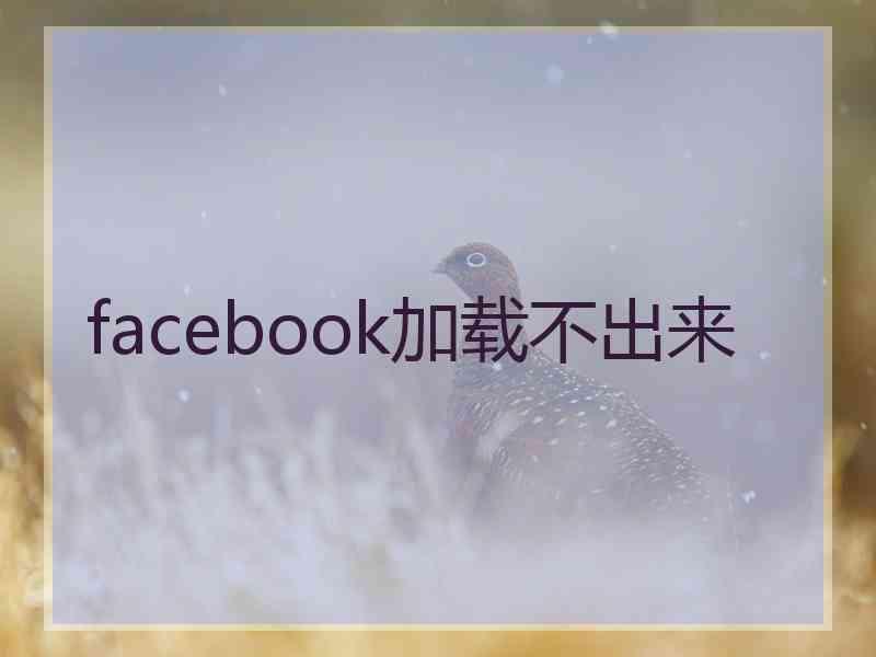 facebook加载不出来