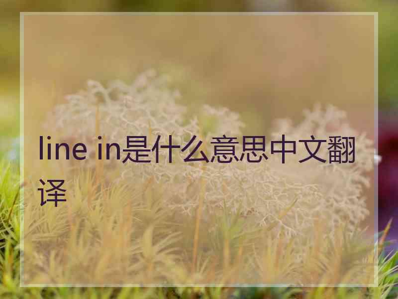 line in是什么意思中文翻译