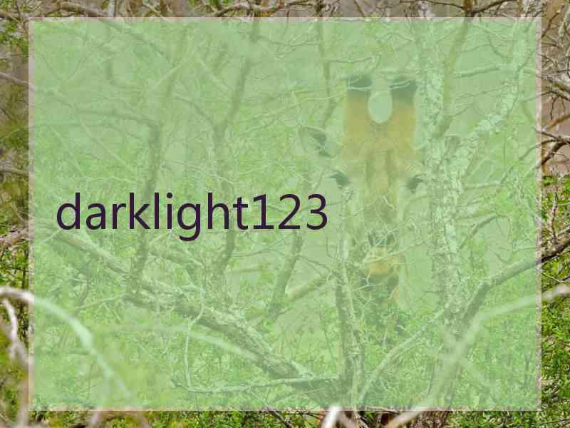 darklight123