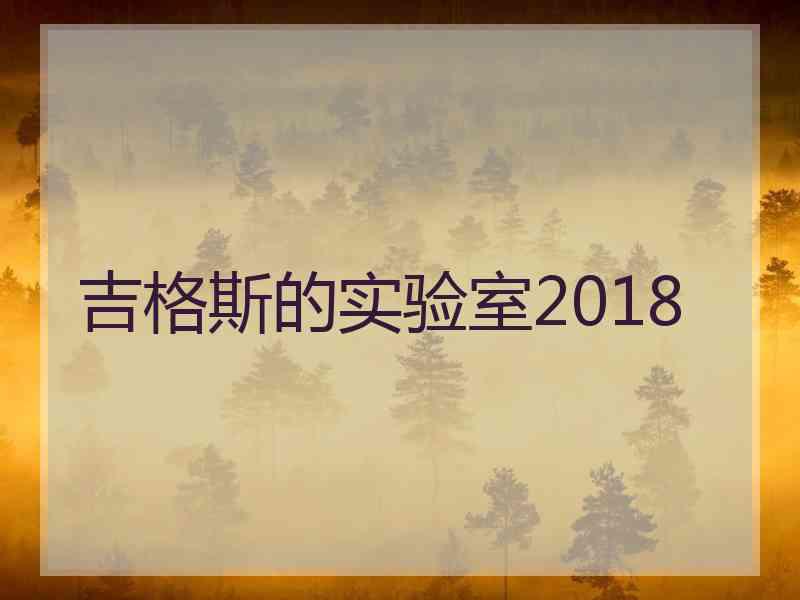 吉格斯的实验室2018