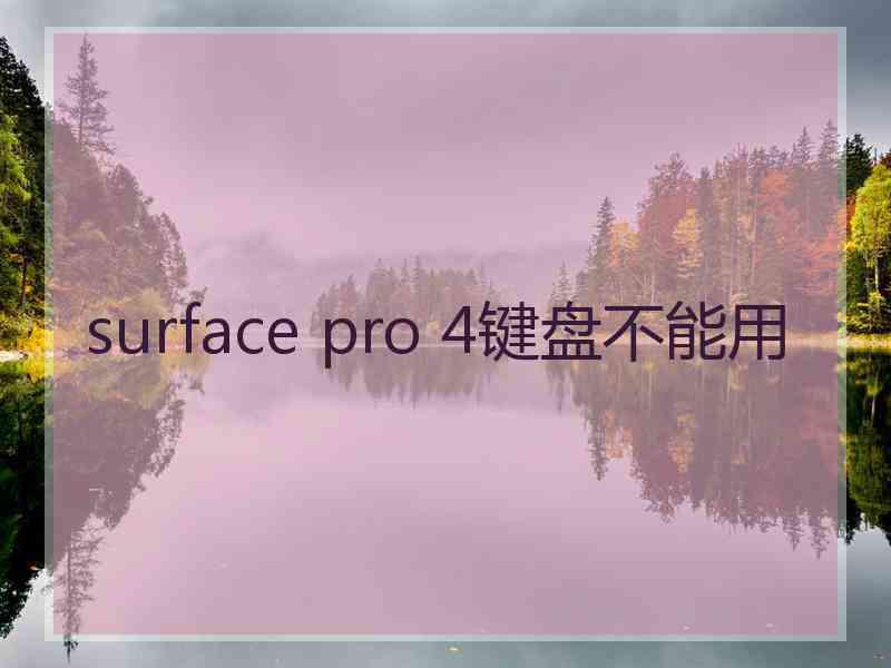 surface pro 4键盘不能用