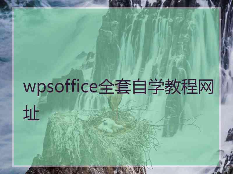 wpsoffice全套自学教程网址