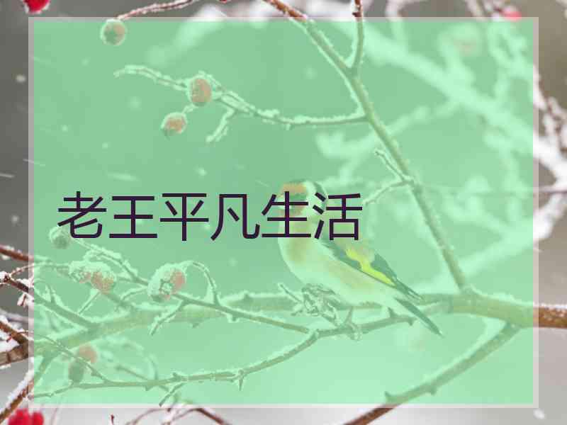 老王平凡生活