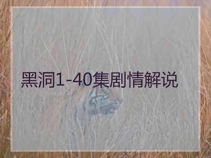 黑洞1-40集剧情解说