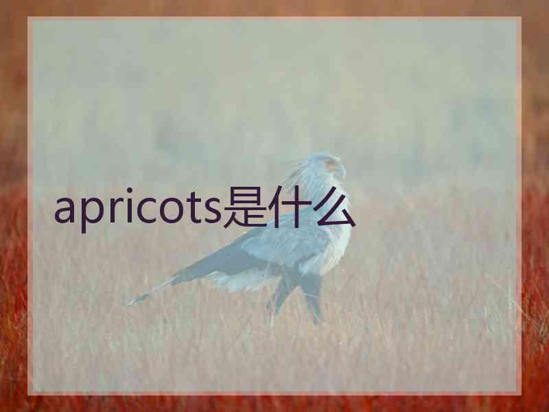 apricots是什么