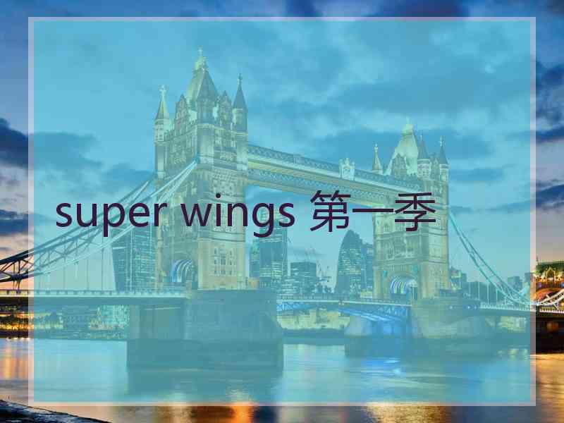 super wings 第一季