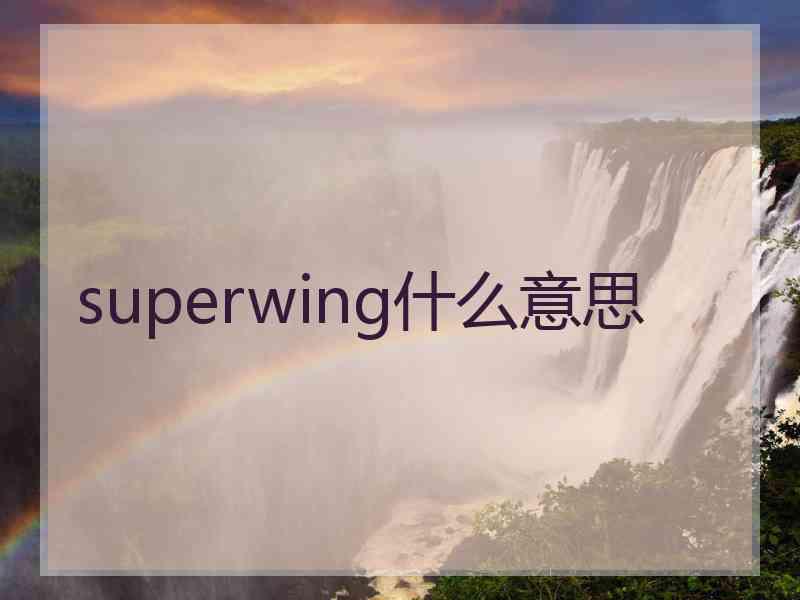 superwing什么意思