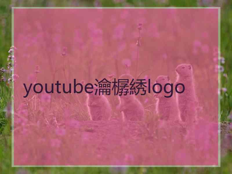 youtube瀹樼綉logo