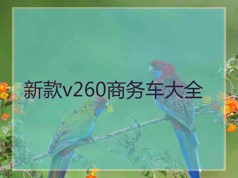 新款v260商务车大全