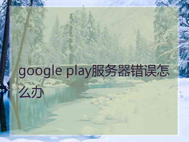 google play服务器错误怎么办