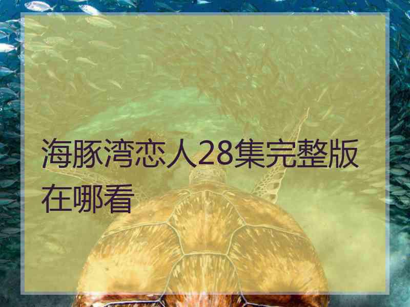 海豚湾恋人28集完整版在哪看