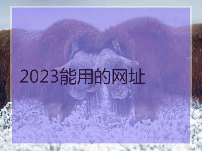 2023能用的网址