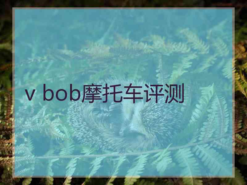 v bob摩托车评测