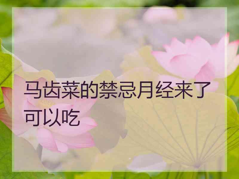 马齿菜的禁忌月经来了可以吃