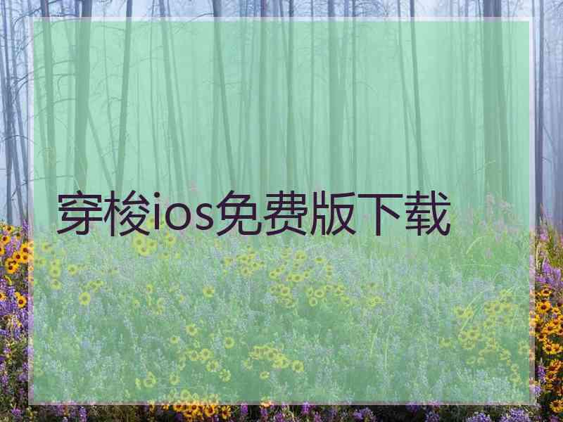 穿梭ios免费版下载