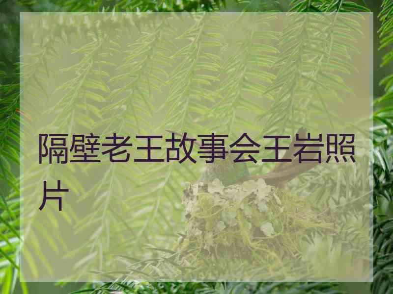 隔壁老王故事会王岩照片