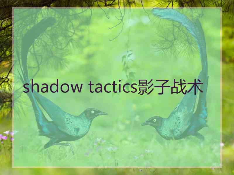 shadow tactics影子战术