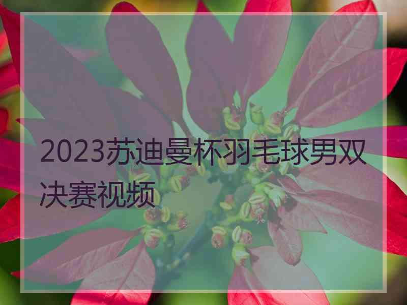 2023苏迪曼杯羽毛球男双决赛视频