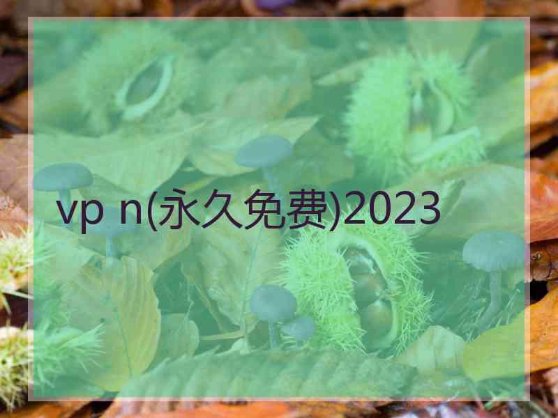 vp n(永久免费)2023