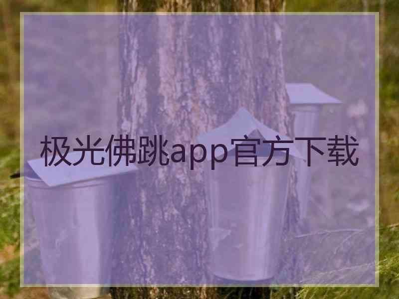 极光佛跳app官方下载