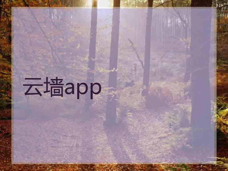 云墙app