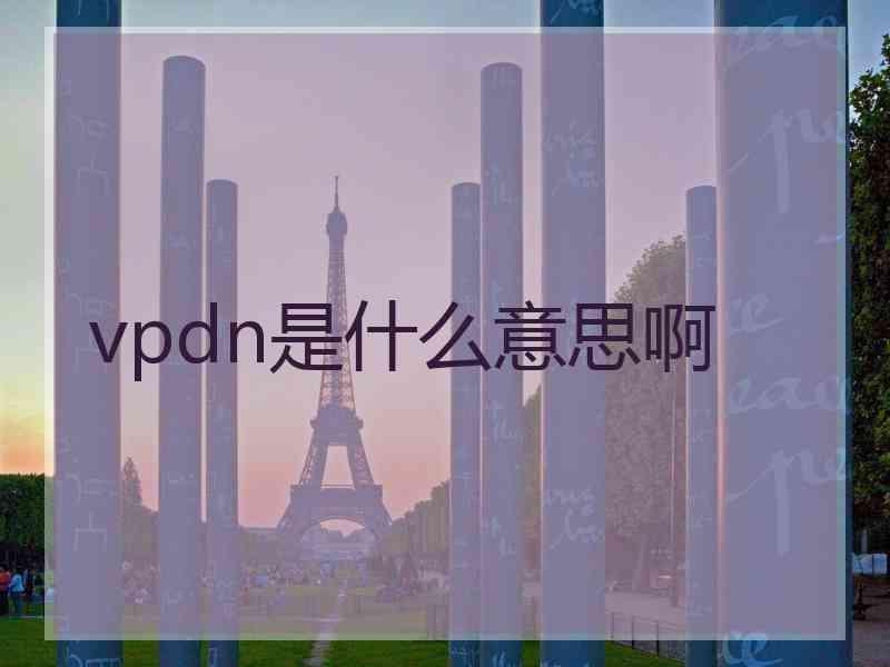 vpdn是什么意思啊