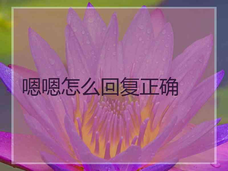 嗯嗯怎么回复正确