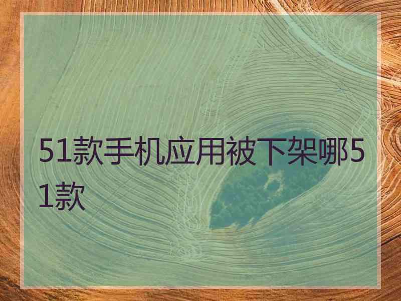 51款手机应用被下架哪51款